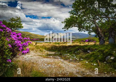 Piste approximative par Polacappul Lough, près du col de Kylemore, Connemara, comté de Galway, Irlande. Banque D'Images