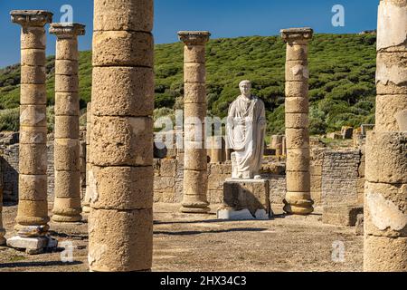 Trajan Statue und Basilika der römische Ruinen von Baelo Claudia in Bolonia, Tarifa, Costa de la Luz, Andalusien, Espagnol | Statue de Trajan et Basi Banque D'Images