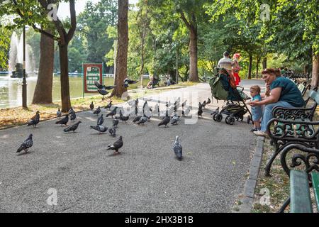 Bucarest, Roumanie - 12 août 2021 : les gens nourrissent des pigeons dans le parc Cismigiu Gardens, dans le centre-ville de Bucarest. C'est un parc public couvrant des zones sur al Banque D'Images