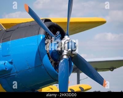 RÉGION DE MOSCOU, AÉRODROME DE CHERNOE 22 mai 2021 : avion an-2 le festival d'aviation du ciel, théorie et pratique. Banque D'Images