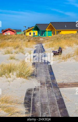 Dune, Allemagne - 02.27.2022: Promenade en bois menant à des cabines en bois colorées sur des dunes de sable avec de l'herbe jaune sur une belle journée ensoleillée d'hiver Banque D'Images