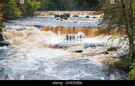 Aysgarth Upper Falls sur la rivière Ure à Wensleydale, dans le parc national de Yorkshire Dales Banque D'Images