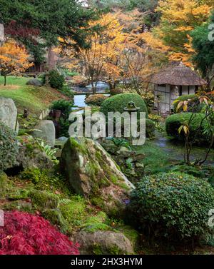 Vue d'automne de la maison de thé, rochers couverts de mousse et buissons tronqués dans le jardin japonais de Tatton Park près de Knustford, Cheshire Banque D'Images