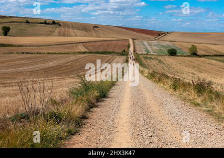 Pèlerins marchant sur le Camino de Santiago (Camino Frances) dans le nord de l'Espagne Banque D'Images
