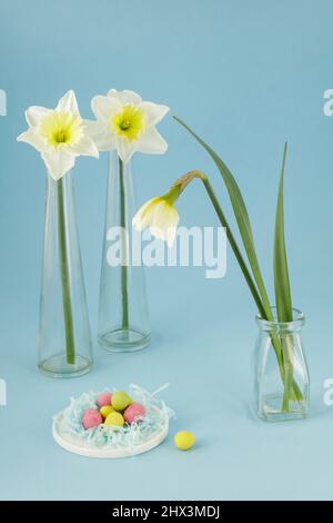 Jonquilles blanches dans des vases en verre et des mini œufs de chocolat colorés Banque D'Images