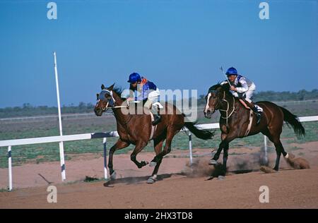 Australie. Queensland. Courses hippiques sur piste de terre. Banque D'Images