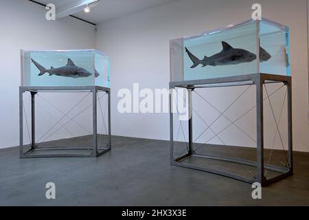 L'HISTOIRE NATURELLE DE GAGOSIAN DAMIEN HIRST OUVRE LE 10 MARS 2022 . Travaux révolutionnaires de Damien Hirst employant le formaldéhyde . L'exposition portera sur plus de vingt des exemples les plus emblématiques , datant de 1991 à 2021 . Banque D'Images