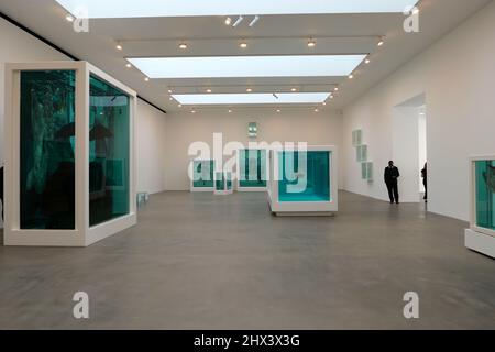 L'HISTOIRE NATURELLE DE GAGOSIAN DAMIEN HIRST OUVRE LE 10 MARS 2022 . Travaux révolutionnaires de Damien Hirst employant le formaldéhyde . L'exposition portera sur plus de vingt des exemples les plus emblématiques , datant de 1991 à 2021 . Banque D'Images