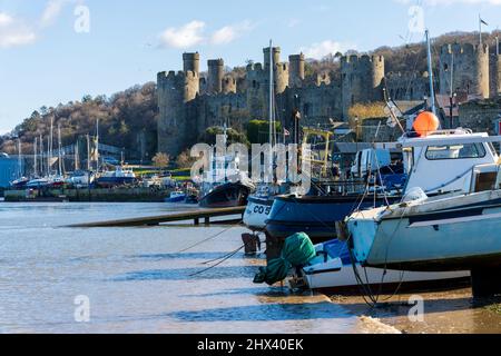 Conwy nord du pays de Galles bateau de pêche du Royaume-Uni sur le quai du port avec château en arrière-plan Banque D'Images