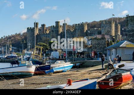 Conwy nord du pays de Galles, quai du Royaume-Uni avec bateaux de pêche et château en arrière-plan Banque D'Images