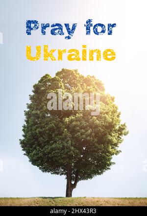 Priez pour l'Ukraine. Inscription sur fond d'arbre vert luxuriant et ciel bleu avec lumière du soleil. Aider tous les civils de l'Ukraine. Banque D'Images