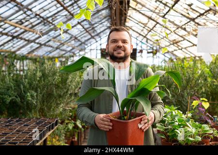 Portrait d'un jeune homme travaillant dans une serre. Il regarde la caméra, souriant et tenant une grande maison dans un pot dans ses mains. Banque D'Images