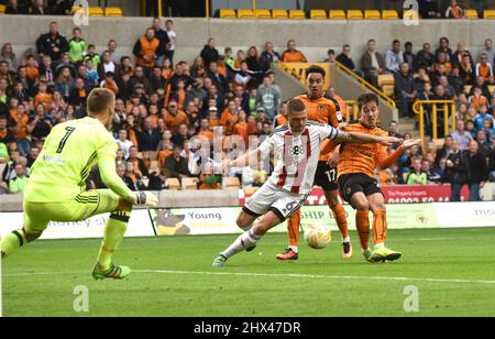 Joao Teixeira de Wolverhampton Wanderers marque un but. Wolverhampton Wanderers / Brentford à Molineux 24/09/2016 - Sky Bet Championship Banque D'Images