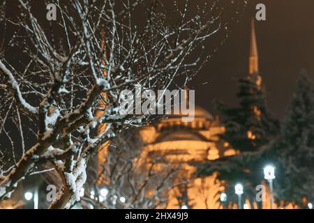 Vue sur Istanbul en hiver. Accent sélectif sur l'arbre et la mosquée Sultanahmet en arrière-plan. Bruit inclus. Banque D'Images