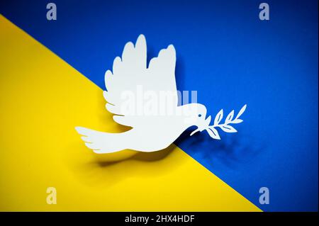 Colombe comme symbole de paix sur le drapeau de l'Ukraine. Fin de la guerre et attaques de la Russie Banque D'Images