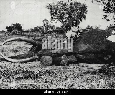 Le jeune Huntress sac l'éléphant énorme. Virginia Walton Brooks, fille de 14 ans de M. et Mme Berry Boswell Brooks, de Memphis, Tennessee, est assise sur un énorme éléphant qu'elle a marqué, le 15 juillet, lors de sa première grande chasse au gibier à la colonie du Kenya, en Afrique de l'est. La Virginie, qui est arrivée à New York, le 21 août, avec ses parents, d'Afrique, a porté une lettre du directeur du jeu de tête de la colonie du Kenya qui a dit qu'il croyait qu'elle était la plus jeune fille à tirer un éléphant. 22 août 1947. (Photo par photo de presse associée). Banque D'Images