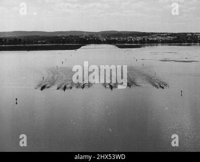 Cours d'aviron olympique au lac Wendouree : lac Wendouree, Ballarat, Victoria, lieu des épreuves d'aviron et de canoë aux Jeux Olympiques de 1956. Soixante-dix milles au nord—à l'ouest de Melbourne, 588—acre le lac Wendouree offre une étendue d'eau calme pour les événements. Six équipes de huit oar peuvent se mesurer à l'ensemble du parcours olympique. Wendouree a accueilli jusqu'à 20 personnes par rangée en une seule course. Trois clubs d'aviron locaux et un club de voile ont leur siège sur ses rives, qui sont entourés de 80 hectares de parc boisé et d'arbres ombragés. 15 décembre 1955. ( Banque D'Images