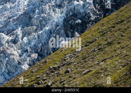 Gros plan du glacier des Bossons qui se trouve à la descente et qui rencontre le flanc herbeux de la montagne, formant une ligne de démarcation diagonale entre les deux à Chamonix, en France Banque D'Images