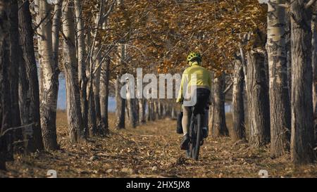 La femme voyage sur le terrain mixte de vélo de tournée avec bikepacking. Le voyage du voyageur avec des sacs de vélo. Vêtements de sport dans des couleurs vertes et noires. Le voyage dans la forêt d'automne magique, arche, allée, avenue. Banque D'Images