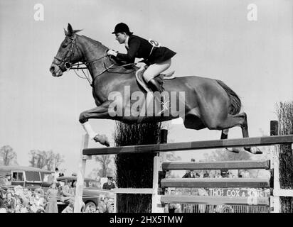 Travail d'équipe parfait -- Une belle photo d'action de travail d'équipe parfait comme la championne d'équitation Pat Smythe et son magnifique cheval 'Prince Hal' sautent dans leur style caractéristique facile parfait, tout en participant au récent spectacle de saut de Beaufort Hunt au Badminton. Le spectacle de saut de deux jours de la chasse de Beaufort a eu lieu à Badminton les vendredi et samedi 22nd avril et 23rd. Parmi les concurrents à cet événement, on retrouve la championne de la Grande-Bretagne, Miss Pat Smythe, Qui, avec son cheval également célèbre 'Prince Hall', est une figure familière aux spectacles de chevaux dans le monde entier. 23 avril 1955. (Photo Banque D'Images