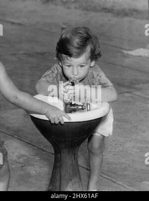 Peu de patience (ci-dessous) elle a pris une longue boisson fraîche. 1 février 1955.;peu de patience (ci-dessous) elle a pris une longue boisson fraîche. Banque D'Images