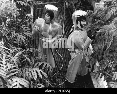 Vêtements de protection contre la pulvérisation présentés au Royal Smithfield Show - les vestes et les capots gonflables en PVC ici vu être utilisé pour protéger les assistants lors d'une opération de pulvérisation chimique dans le ***** Au Royal Botanical Gardens, Kew - a été présenté pour la première fois au monde agricole au Royal Smithfield Show, Earls court, Londres. Le système permet à toute personne portant l'équipement de pulvériser des produits chimiques toxiques dans un espace confiné tel que des serres ou d'entrer dans une zone contaminée en toute sécurité. Banque D'Images