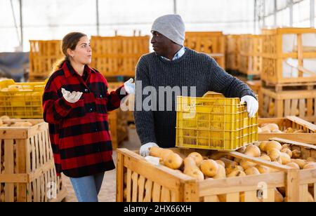L'agriculteur afro-américain parle à une jeune collègue Banque D'Images