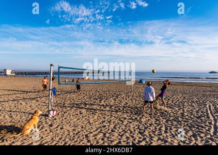 Avila Beach, CA / 3 avril 2016: Chien montres Beach volley match sur le sable. Banque D'Images