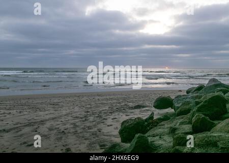 9 mars 2022 : fleurs sauvages de printemps jaune, oiseaux, rochers et mousses au coucher du soleil à la plage d'État de Torrey Pines à la Jolla, San Diego, Californie, le mercredi 9th mars 2022 (Credit image: © Rishi Deka/ZUMA Press Wire) Banque D'Images