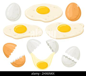 Ensemble d'illustrations vectorielles pour œufs de poulet à dessin animé. Œufs frais, frits, œufs cassés. Nourriture agricole biologique isolée sur fond blanc. Illustration de Vecteur