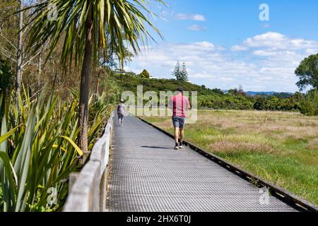 Tauranga Nouvelle-Zélande - Mars 10 2022; personnes en promenade dans les zones humides et le Bush dans la vallée de Kopurerua, Tauranga. Banque D'Images