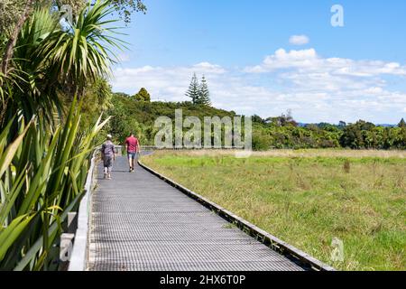 Tauranga Nouvelle-Zélande - Mars 10 2022; personnes en promenade dans les zones humides et le Bush dans la vallée de Kopurerua, Tauranga. Banque D'Images