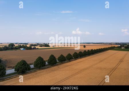 Vue en grand angle du paysage rural Banque D'Images