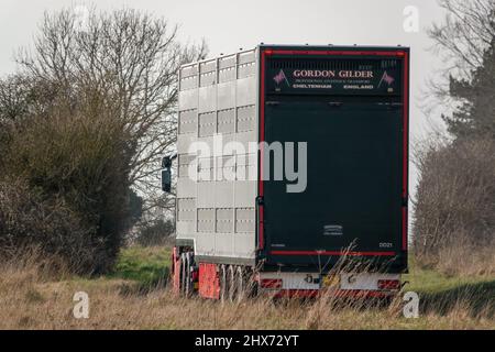 Vue arrière et latérale d'un camion-remorque articulé ventilé argenté transportant le bétail des animaux de ferme à travers la campagne Banque D'Images