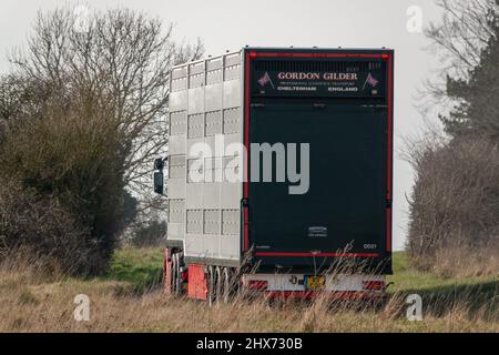 Vue arrière et latérale d'un camion-remorque articulé ventilé argenté transportant le bétail des animaux de ferme à travers la campagne Banque D'Images