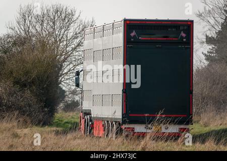 Vue arrière et latérale d'un camion-remorque articulé ventilé argenté transportant le bétail des animaux de ferme à travers la campagne Banque D'Images