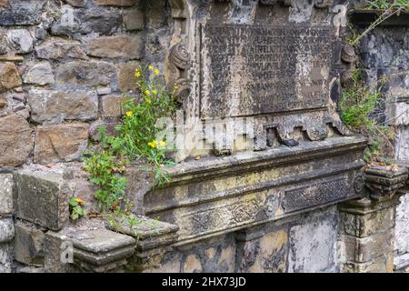 Le détail d'une ancienne pierre à tête ornée contre le cimetière de Greyfriars à Édimbourg montre l'altération et la colonisation des plantes Banque D'Images