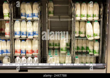 Les prix du lait vus sur les étagères d'un supermarché Tesco. Les prix des denrées alimentaires, entre autres coûts de la vie, seraient en hausse dans les mois qui suivent Banque D'Images