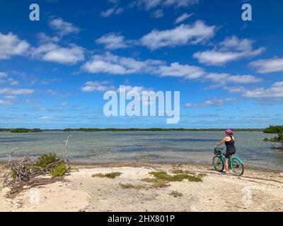 Femme à vélo regardant les eaux calmes de la baie de mangrove, Big Pine Key, Florida Keys, Floride, États-Unis Banque D'Images