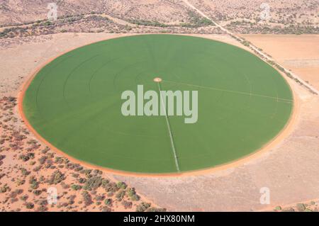 Centre d'irrigation pivot, Cap Nord Afrique du Sud. Banque D'Images