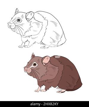 Illustration d'un livre de coloriage en couleur et en noir et blanc. Dessin d'un cobaye sur un fond blanc isolé. Illustration de haute qualité Banque D'Images
