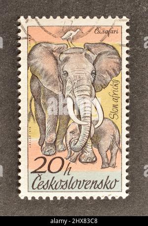 Timbre-poste annulé imprimé par la Tchécoslovaquie, qui montre Elephant, vers 1976. Banque D'Images