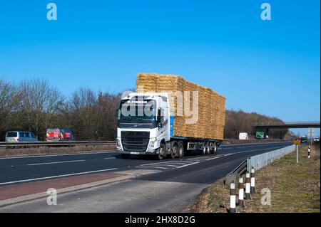 R Fisher Volvo camion transportant des balles de foin le long de la voie de contournement sud de Norwich Norfolk Angleterre Banque D'Images