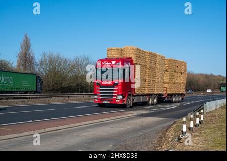 Camion Fisher Scania transportant des balles de foin le long de la voie de contournement sud de Norwich Norfolk, Angleterre Banque D'Images