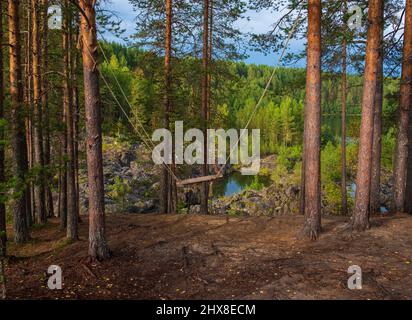 Balancer sur les pins sur la rive rocheuse près de la forêt dans le nord Banque D'Images
