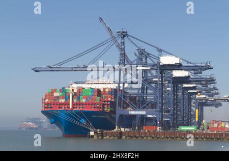 Port de Felixstowe dans le Suffolk avec le navire à conteneurs 'Cosco Shipping star' dans le quai. Felixstowe fait partie de Freeport East, une plaque tournante du commerce mondial Banque D'Images