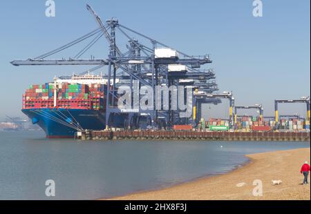 Port de Felixstowe dans le Suffolk avec le navire à conteneurs 'Cosco Shipping star' dans le quai. Felixstowe fait partie de Freeport East, une plaque tournante du commerce mondial Banque D'Images