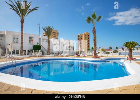 Sur place, piscine tranquille avec eau bleue accueillante entourée de nombreuses chaises longues et de grands palmiers, Azahara Playa Los Cristianos Banque D'Images