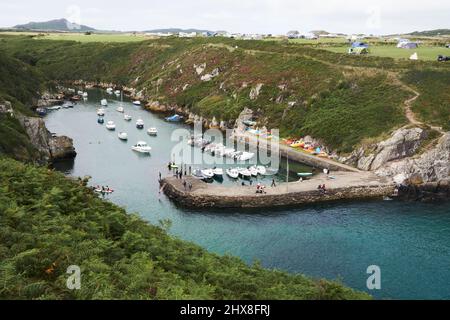 Port de Porthclais, près de St David's, Pembrokeshire, pays de Galles, Royaume-Uni Banque D'Images