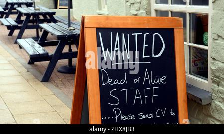 La rue principale de Newport, Pembroleshire le Golden Lion Pub, à la recherche du personnel, mort ou vivant. Photo de Richard Williams Photography Banque D'Images